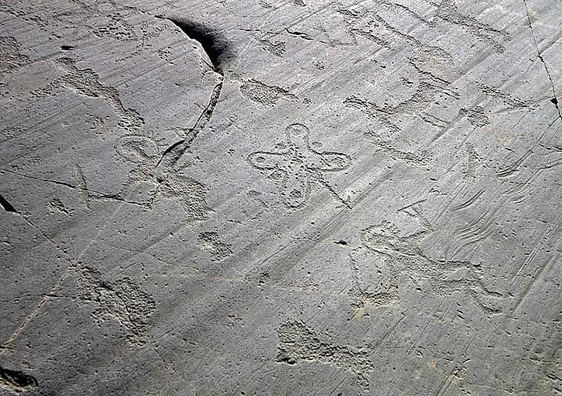 incisioni rupestri Paspardo incisioni rupestri Paspardo