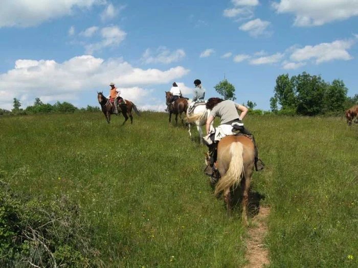 Escursione a Cavallo Valle Camonica