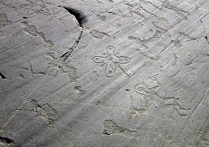 incisioni rupestri Paspardo incisioni rupestri Paspardo