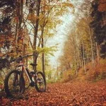 GALLERY-5.jpg