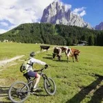 mtb-3-web.jpg