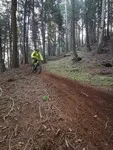 freeride-55.jpg