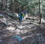 freeride-web-2.jpg